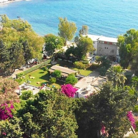 Myndos Bed & Breakfast بودروم المظهر الخارجي الصورة