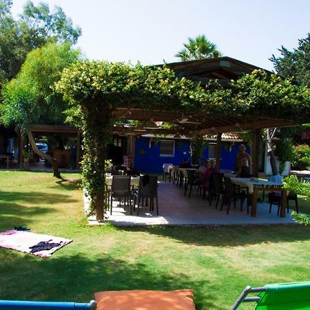 Myndos Bed & Breakfast بودروم المظهر الخارجي الصورة