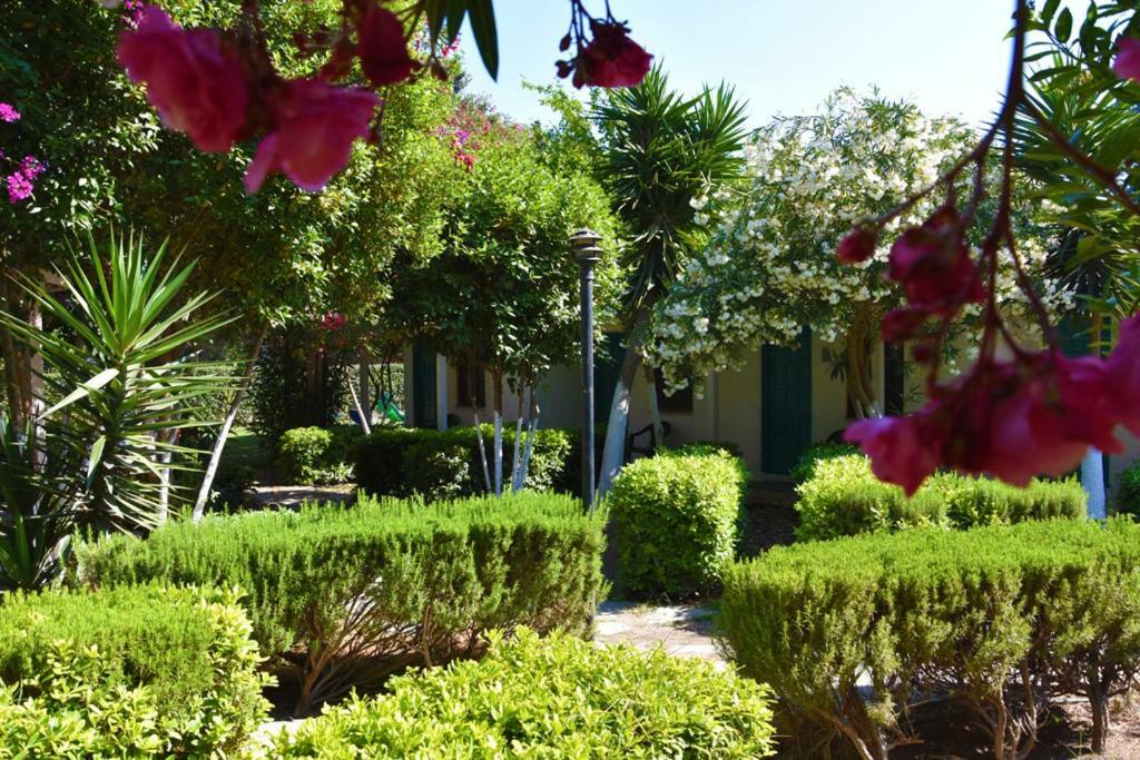 Myndos Bed & Breakfast بودروم المظهر الخارجي الصورة